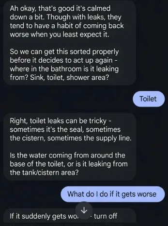 Real AI conversation